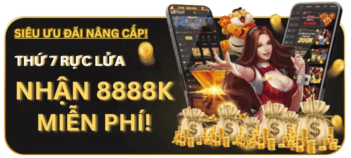 Các phương thức gửi tiền tại VN8